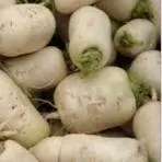 nabo agroecologico