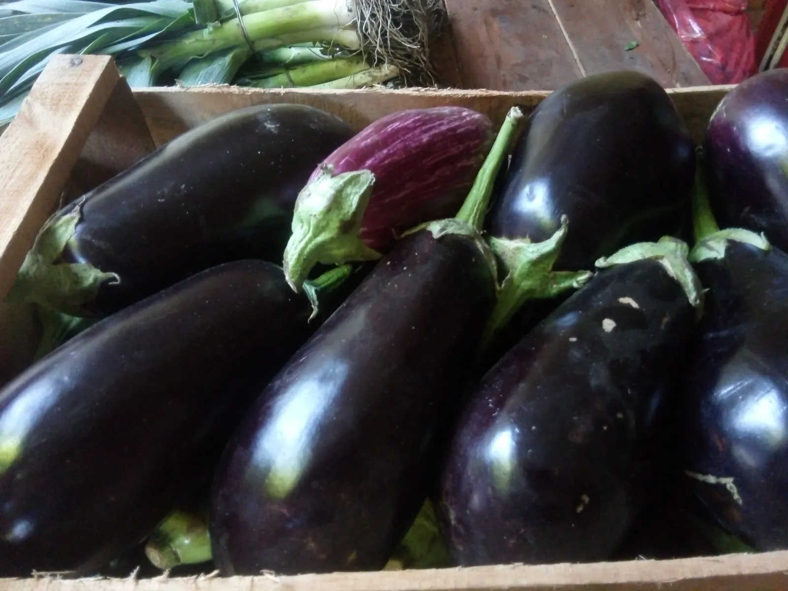 Berenjena Agroecologíca por medio kg